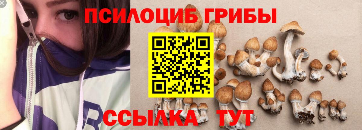 Усинск  Псилоцибиновые грибы Magic Shrooms  Вход с VPN 